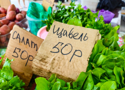 Борщевой и суповой набор подорожал в Волгоградской области к концу июня 