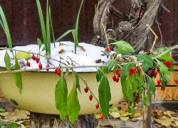 Как прокуратура "ремонтирует" сельский водопровод в соседнем с Камышинским - Ольховском районе