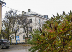 Декабрь в Камышине начинается с плюсовых отметок: погодный прогноз на 2 декабря