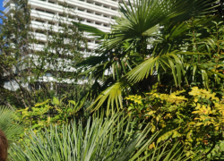 Поездки на отдых начали дорожать сильнее продуктов в Волгоградской области