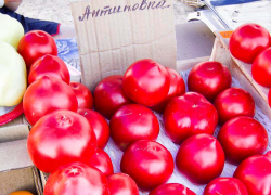 Что для камышан подорожало в борщевом наборе этого лета, а что подешевело