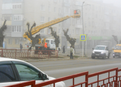 Камышин туман поглотил "жадно" - дело дошло до штормового предупреждения 28 ноября