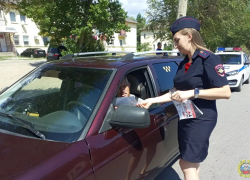 В Камышине госавтоинспекторы вышли на улицы пообщаться с водителями в жаркий день
