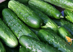Камышане за Новый год съели все свежие огурцы из магазинов города