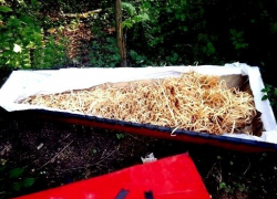 На мусорную площадку выбросили гроб