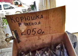 Предновогодний рыбный ассортимент на уличных рынках Камышина демонстрирует космические цены