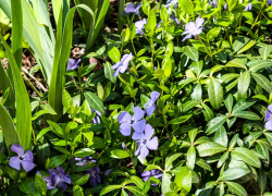 В Камышине погода взяла курс на похолодание: почти до нуля!