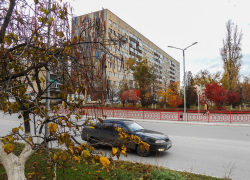 Ещё раз спасибо парню, я даже имя не спросила, но номер запомнила, - камышанка