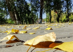 Дождь и ночные +4: погода в Камышине 16 октября
