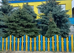 В Камышине в соцсетях обсудили "подозрительно" сине-желтый забор у пивзавода