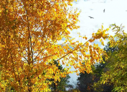 В Камышине за дверью запертой квартиры следователи обнаружили труп и предсмертную записку