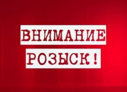 В Камышине разыскивается водитель, скрывшийся с места ДТП