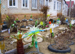 "Кто навязывает городу такую безвкусицу?" - камышанка