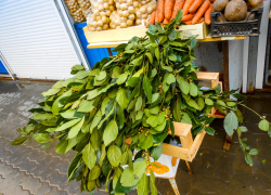 Почему камышанки раскритиковали большие букеты лаврушки на рынках