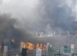 В Камышинском районе загорелось кладбище