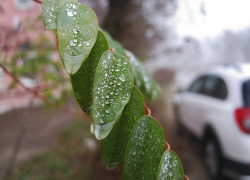 Туман и сильная магнитная буря будут "сопровождать" камышан сегодня, 28 ноября (ВИДЕО)