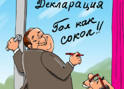 Камышинская городская дума заочным голосованием вынесла предупреждения народным избранникам, "погоревшим" на доходах жен в декларациях 