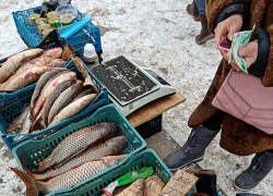 В Волгоградской области подорожали яйца, помидоры, рыба и анальгин