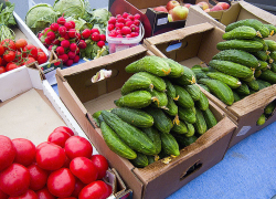 На прилавках Камышина появилась свежевыращенная редиска