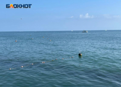 "Несостоявшийся" отпускник: в Волгоградской области мошенники провели мужчину с бронированием отеля