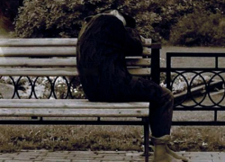 Мертвый молодой камышанин казался соседям спящим на лавочке