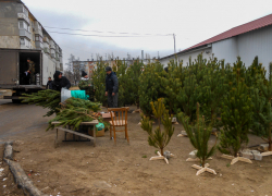 В Камышине энергетики предупредили об отключениях света сегодня, 26 декабря