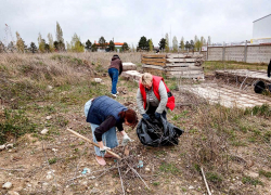 В Камышине у трассы впервые появится фудкорт - что это такое?