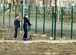 Камышинский сайт "Инфокам" продвигает идею "досрочного" начала месячника по благоустройству в замусоренном городе