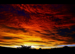 “Свободный белый парень уходит из жизни", - написал в предположительно предсмертном сообщении в Инстаграм молодой человек, упавший с 23 этажа