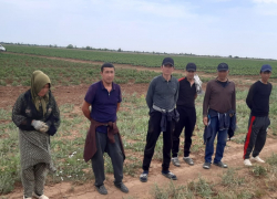 В Волгоградской области прошли широкомасштабные мероприятия по выявлению и постановке на воинский учет бывших мигрантов