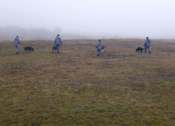 В Волгоградской области в степи обнаружили мертвого подростка