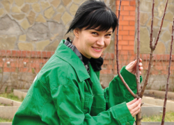 Как провести осеннюю посадку саженцев плодовых деревьев по всем агрономическим правилам 