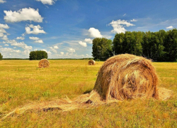 Водитель трактора на покосе рухнул в овраг вместе с машиной и погиб