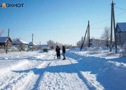 В Камышинском районе на полиграфе опросили 230 подозреваемых в исчезновении школьницы из Чухонастовки