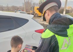 Как в Камышине сотрудники Госавтоинспекции популяризировали фликеры