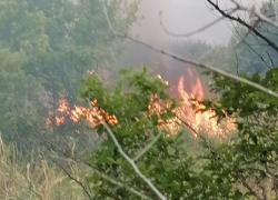 Лесные пожары начались и в Камышинском районе