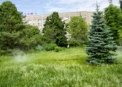 Администрация Камышина нашла 3 с половиной миллиона на новые автомобили: для кого они предназначены?