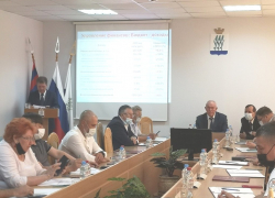 Глава Камышина Станислав Зинченко отчитался перед депутатами городской думы за свою работу в 2020 году в формате полного "одобрямса"