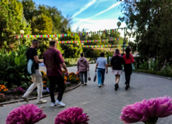Повеяло осенью, но не окончательно: погода в Камышине 17 сентября