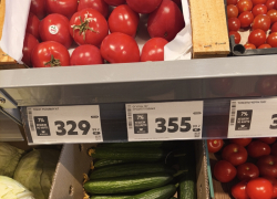 Салат со свежими огурцами становится роскошью для камышан