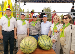 В Камышине вип-персоны Арбузного фестиваля пожелали сфотографироваться с самыми большими арбузами и прекрасными незнакомками