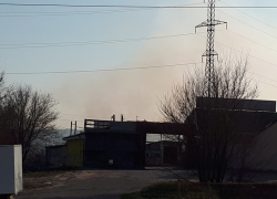 Камышане прислали в редакцию "Блокнота Камышина" снимки ландшафтного пожара в районе дамбы