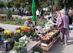 В Камышине от фруктов и цветов стали необычно красивыми обычные рынки