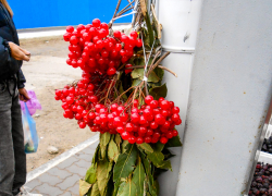 Сегодняшняя, 21 декабря, погода "около нуля" продержится в Камышине еще только три дня перед резким похолоданием до -15-ти