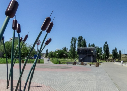 Опасную ночь пережили камышане