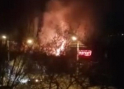 В Камышине на пожаре в Полосе отчуждения тела несчастных обгорели так, что пол погибших пока установить невозможно