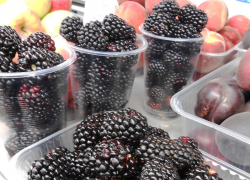 В Камышине садовую ежевику предлагают по 300 рублей за килограмм