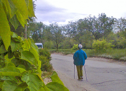 Кому из камышан повысят пенсии с 1 апреля, и на сколько