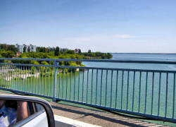 В Камышине к 17 июля речка покрылась толстым слоем зелени, комфортный купальный сезон завершается