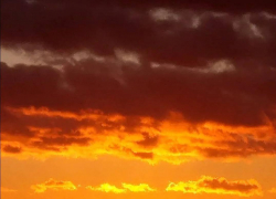 В Камышине на улице 22 партсъезда в квартире обнаружено тело одиноко проживавшей пенсионерки